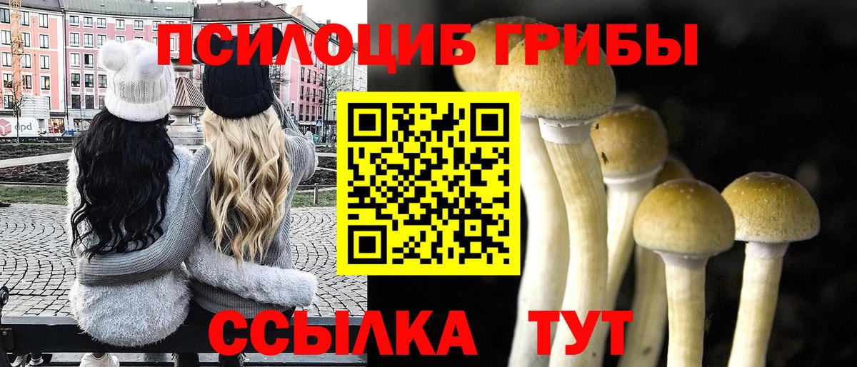 Псилоцибиновые грибы ЛСД  Вход с VPN  Ступино 
